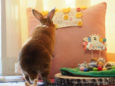 うに君2歳のお誕生日