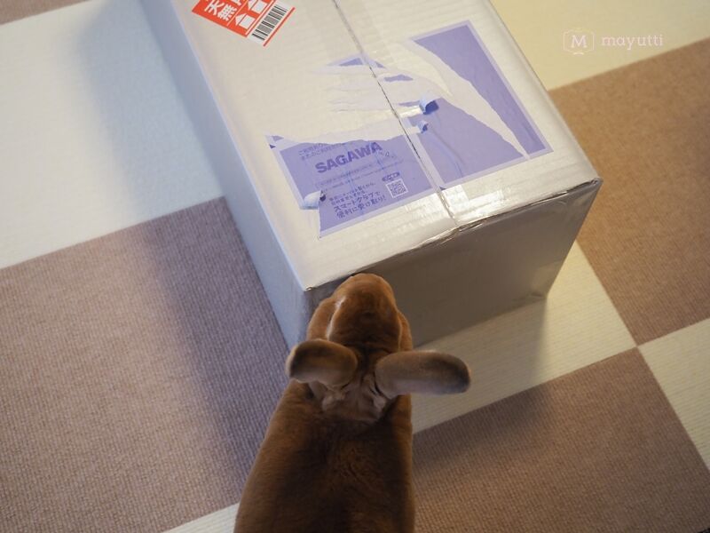 ウーリー農園産生牧草 1kgプレゼントキャンペーン