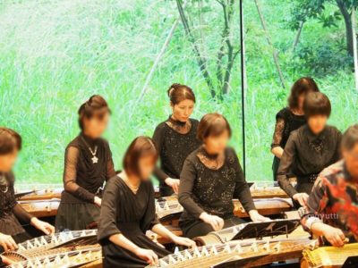 柳会箏コンサート