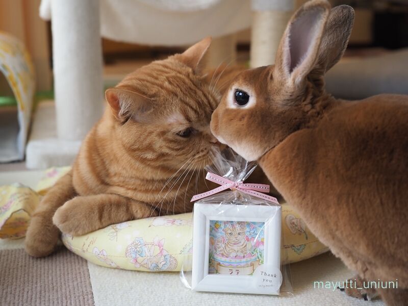 イラストとうにラテ