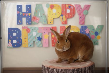 うに君ハッピバースデー