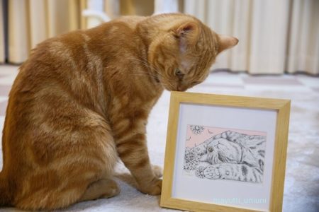 Maooさんの作品「Latte」とラテ