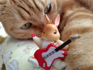 ギターうさぎとラテ君