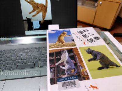 図書館で借りてきた