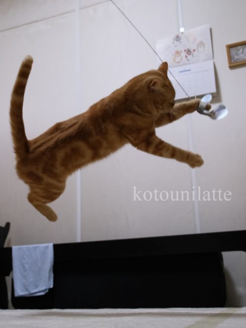 見事なジャンプ