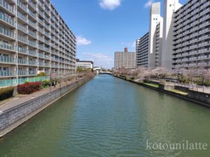 城北川沿い散歩
