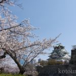 大阪城お花見