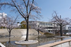 さくら広場