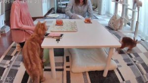 元生徒さんと再会