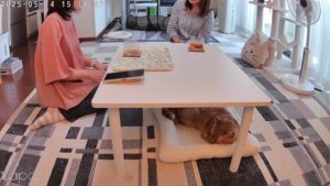 元生徒さんと再会