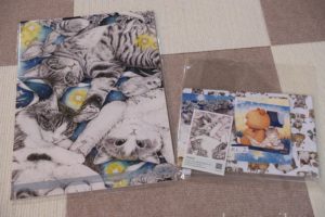 にゃんこ博覧会Maooさん