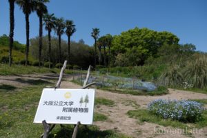 大阪公立大学附属植物園