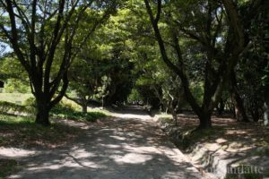 大阪公立大学附属植物園