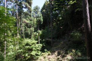 大阪公立大学附属植物園