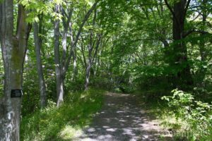 大阪公立大学附属植物園
