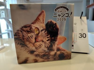 日めくりニャンコ2025