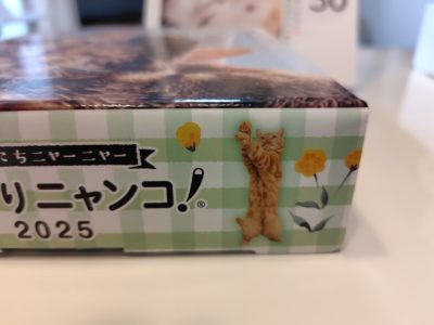 日めくりニャンコ2025ラテ
