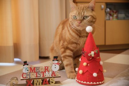 クリスマス＆ラテ