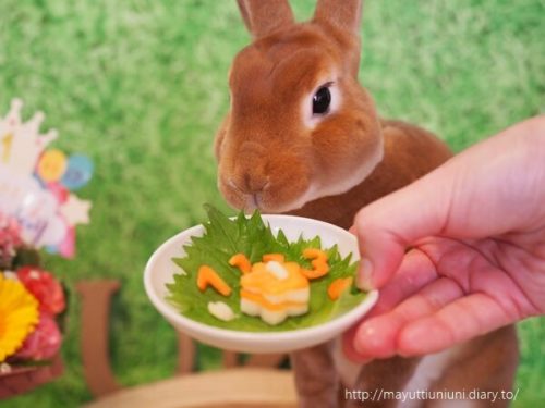 うに君１歳のお誕生日