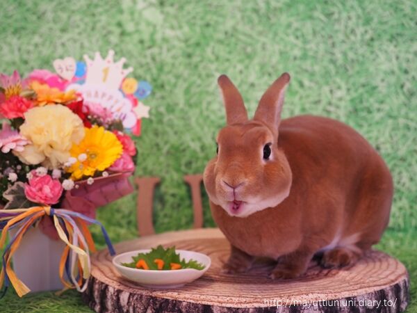 うに君１歳のお誕生日