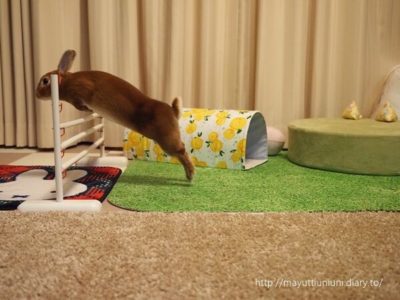 もう１回ジャンプ