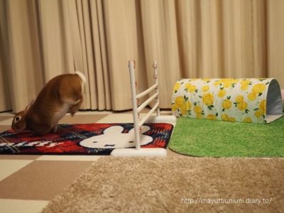 もう１回ジャンプ