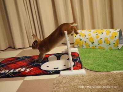 うに君のラビットホッピング