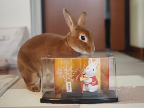 寅年から卯年へ