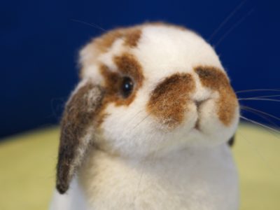 羊毛フエルト「モココ」