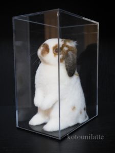 羊毛フエルト「モココ」ケース