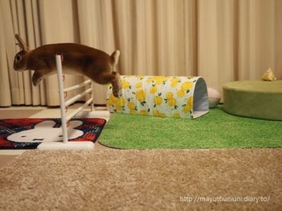 もう１回ジャンプ