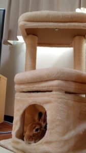 西館：うに君の別荘の外観写真