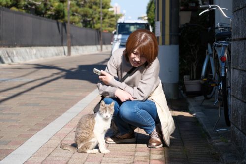 大仙公園に行く途中　猫