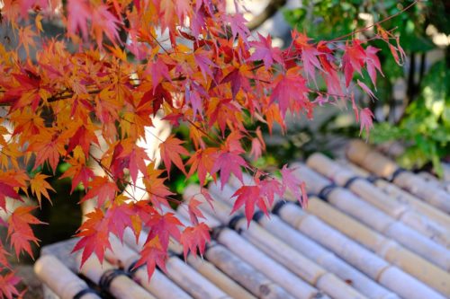大仙公園日本庭園
