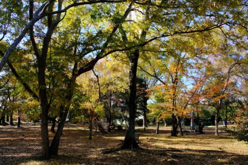 大仙公園日本庭園