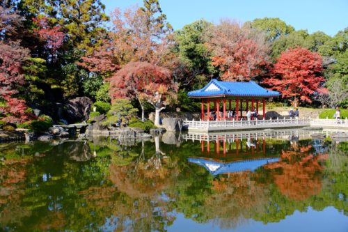 大仙公園日本庭園