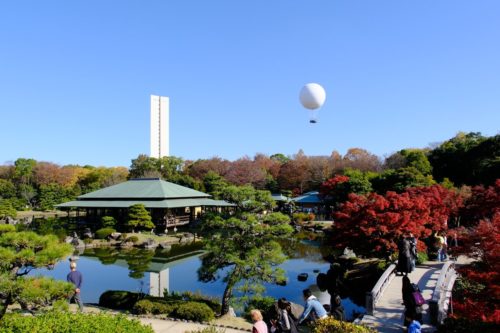 大仙公園日本庭園