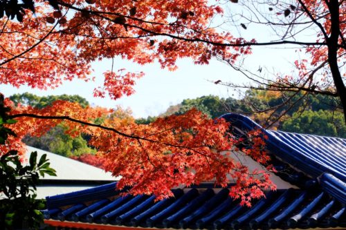 大仙公園日本庭園