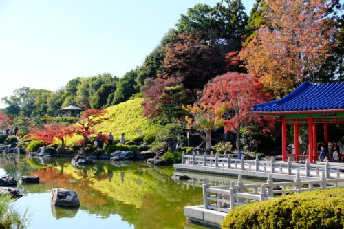 大仙公園日本庭園